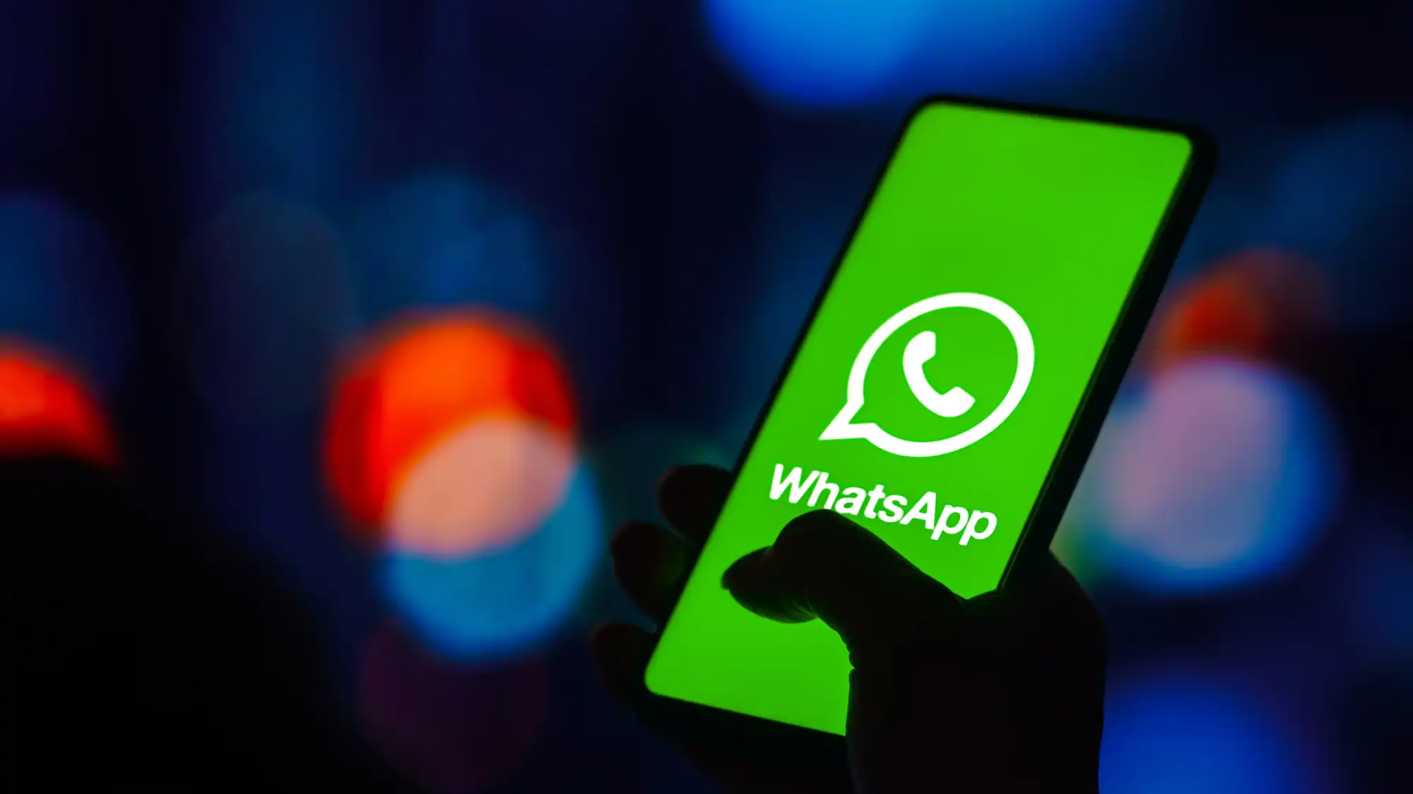 What is the WhatsApp number verification tool